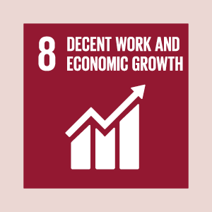 SDG8