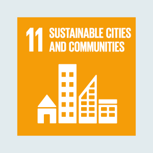 SDG11