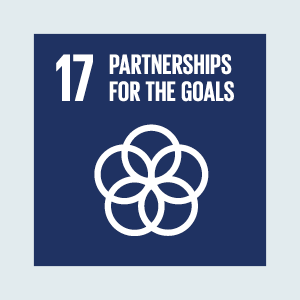 SDG17