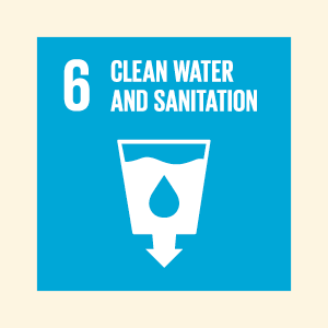 SDG6