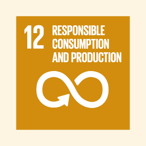 SDG12