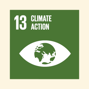 SDG13